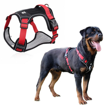 Qpets Dog Harness for Outdoor Control with 4 Adjustable Straps and Reflective Strips | Oxford Cloth Red L for 14–22.5 kg Dogs image