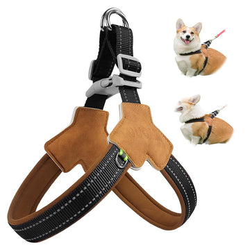 Qpets Reflective Dog Harness for Safe Night Walking image
