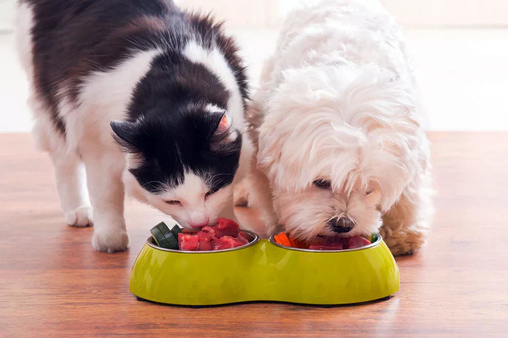 The Ultimate Feeding Guide for Happy, Healthy Pets