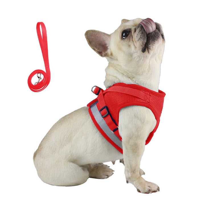 Qpets Dog Harness for Large Dogs with 1.2m Leash image