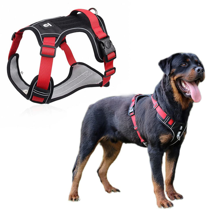 Qpets Dog Harness for Outdoor Control with 4 Adjustable Straps and Reflective Strips | Oxford Cloth Red L for 14–22.5 kg Dogs image