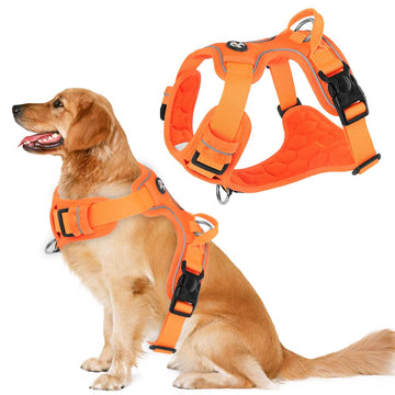 Qpets Dog Harness for Large Dogs 30–49 kg with Reflective Strips and Seat Belt Lock | Oxford Fabric Adjustable Vest image