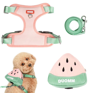 Qpets Dog Harness Vest for Small Breeds with 4 Way Adjustable Fit and Zipper Pouch | Breathable Mesh Comfort (S) image