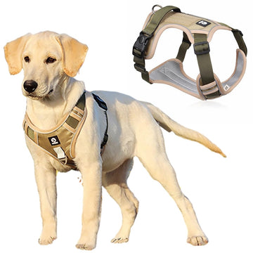 Qpets Dog Harness for No-Pull Walking with Adjustable 4-Way Straps image