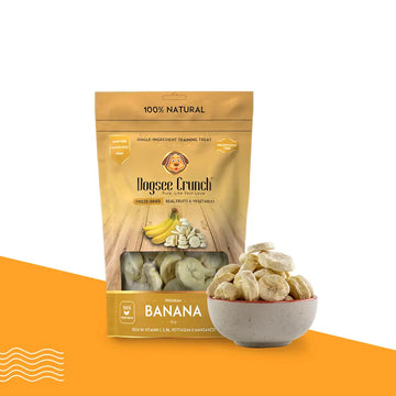 Dogsee Crunch Banana: Freeze-Dried Banana Dog Treats image
