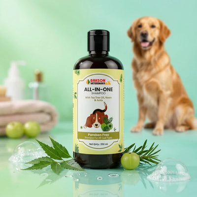 All in One Shampoo