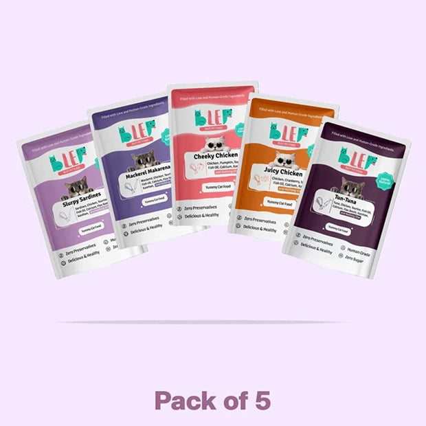 All Recipes Cat Food Trial Pack - Zero Preservatives - Blep