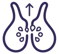 Anal Gland Cleaning