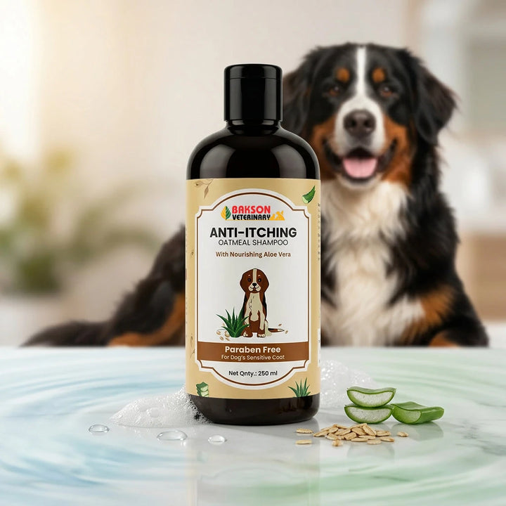 Anti Itching Shampoo