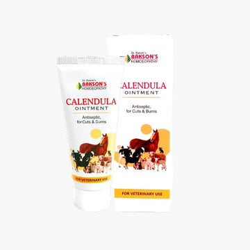 Calendula Ointment Image