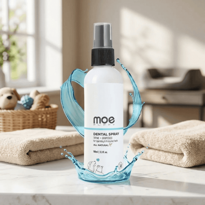 Dental Spray for Dogs & Cats