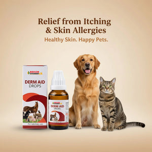 Derm Aid Drops