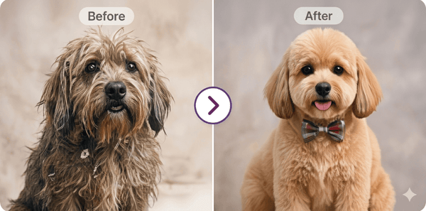 From Scruffy to Snuggle-Ready.