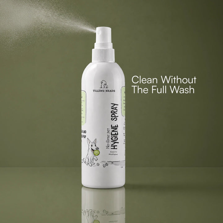 No-Rinse Pet Hygiene Spray | Safe Daily Shield Against Germs