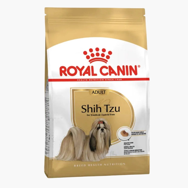 Shih Tzu Adult