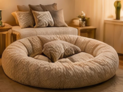 Cozy Sleeping Area