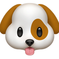 Happy Pet